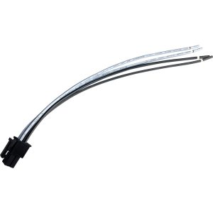 4 PIN MOLEX PLUG For TRIDENT Amplifiers